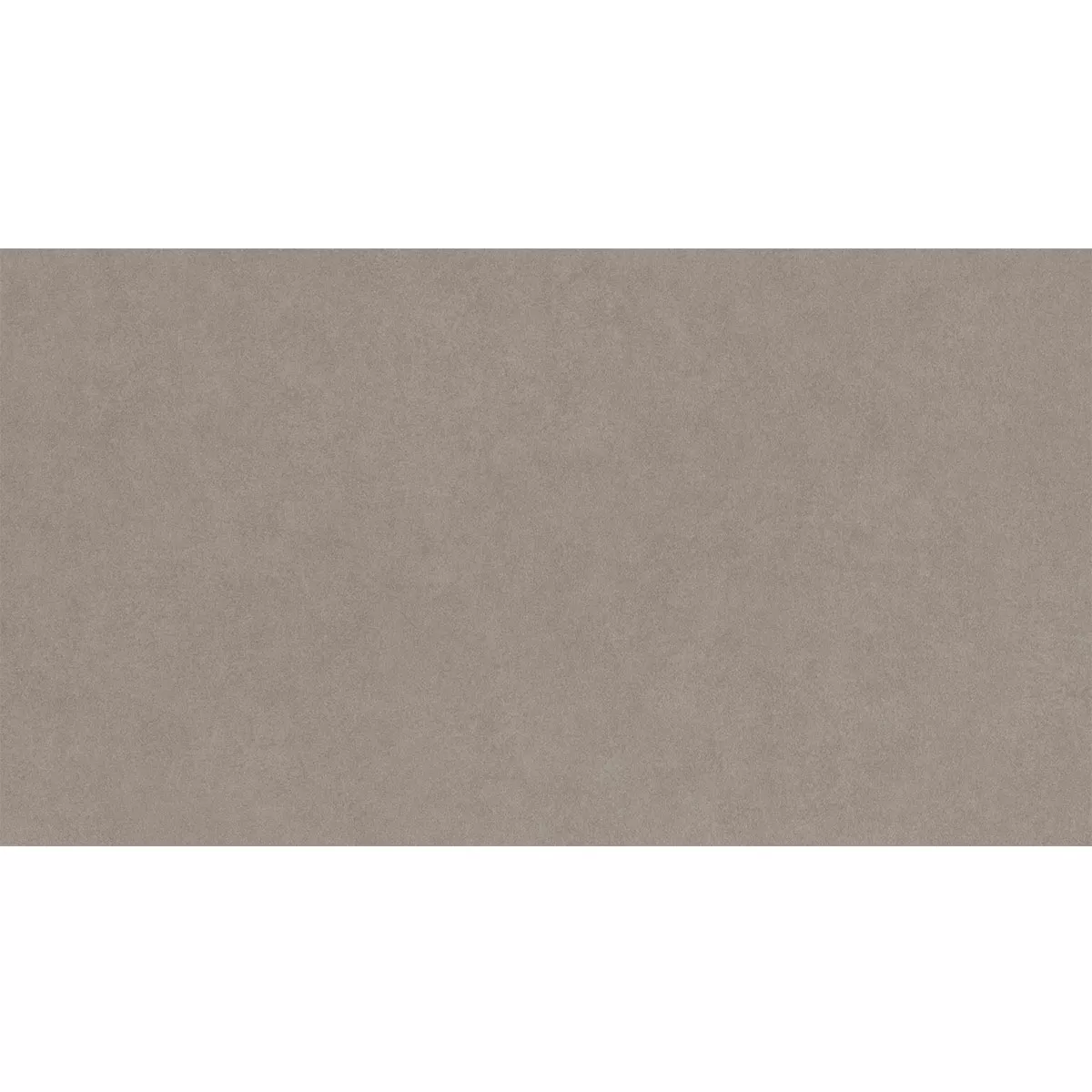 Kolossal Cветло Cив 30x60 cm