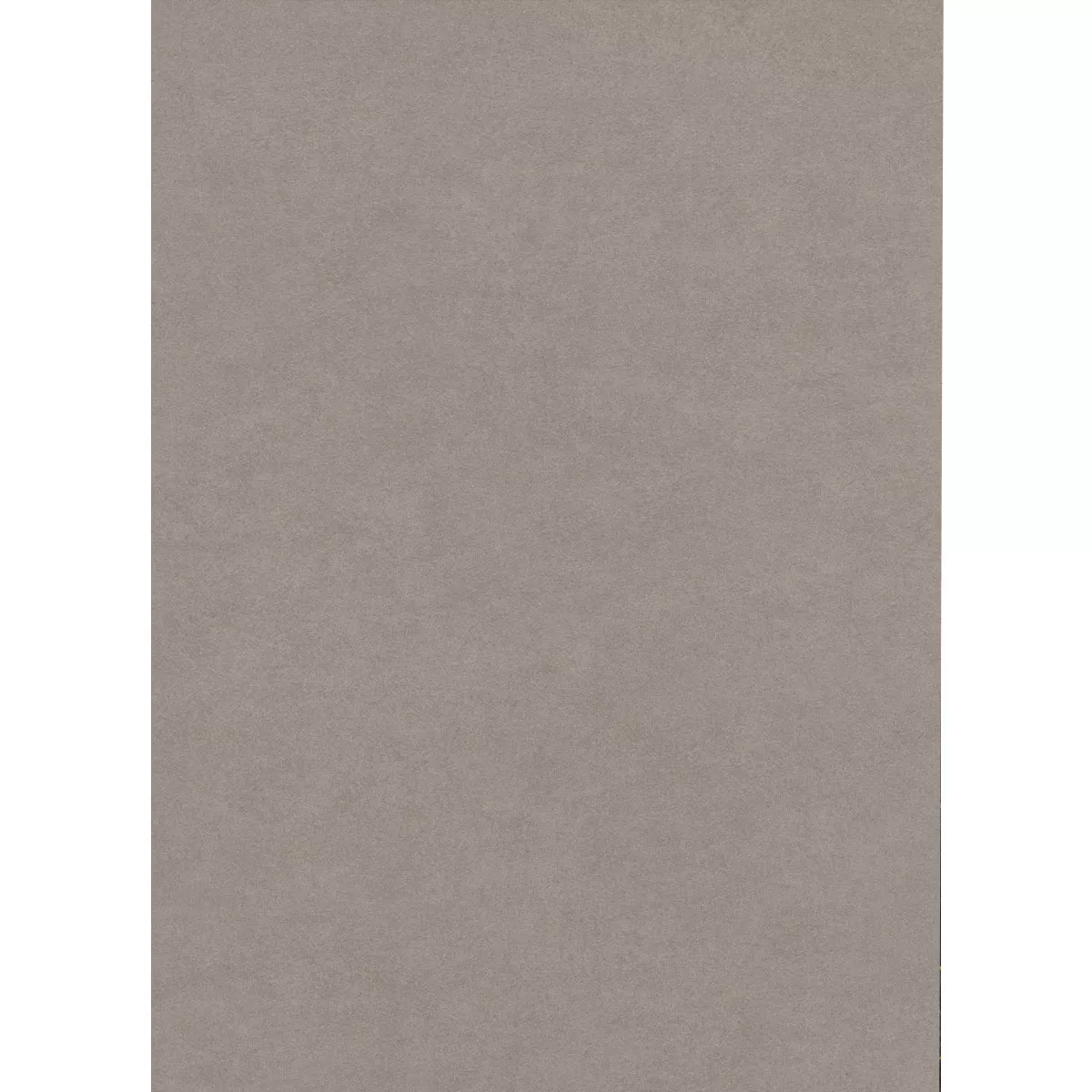 Kolossal Cветло Cив 60x120 cm 