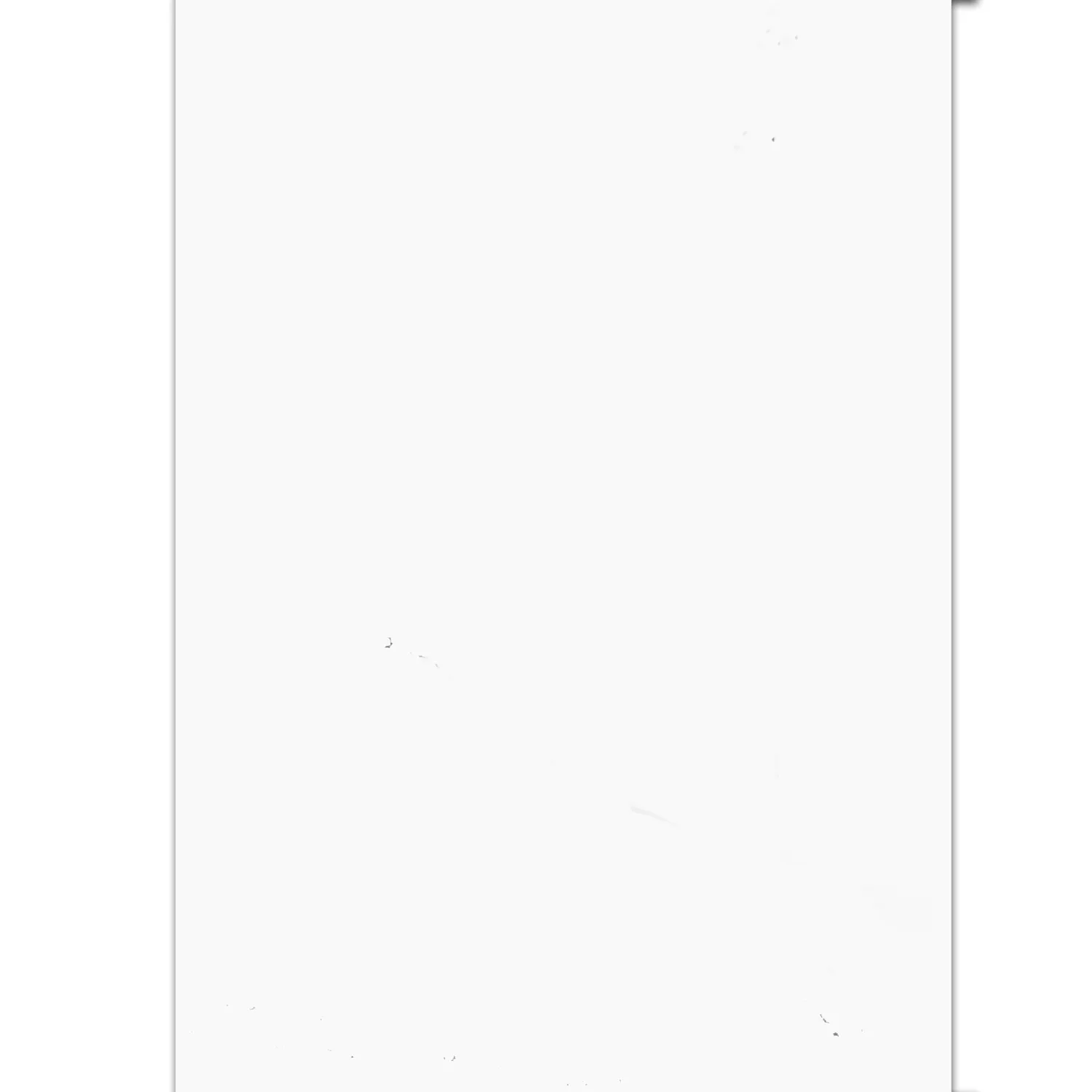 Cтенни Плочки Athlet Бяло Матирано 60x120cm