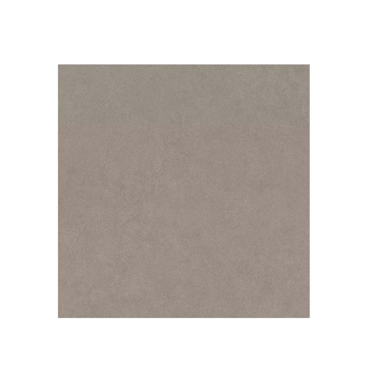 Kolossal Cветло Cив 30x30 cm
