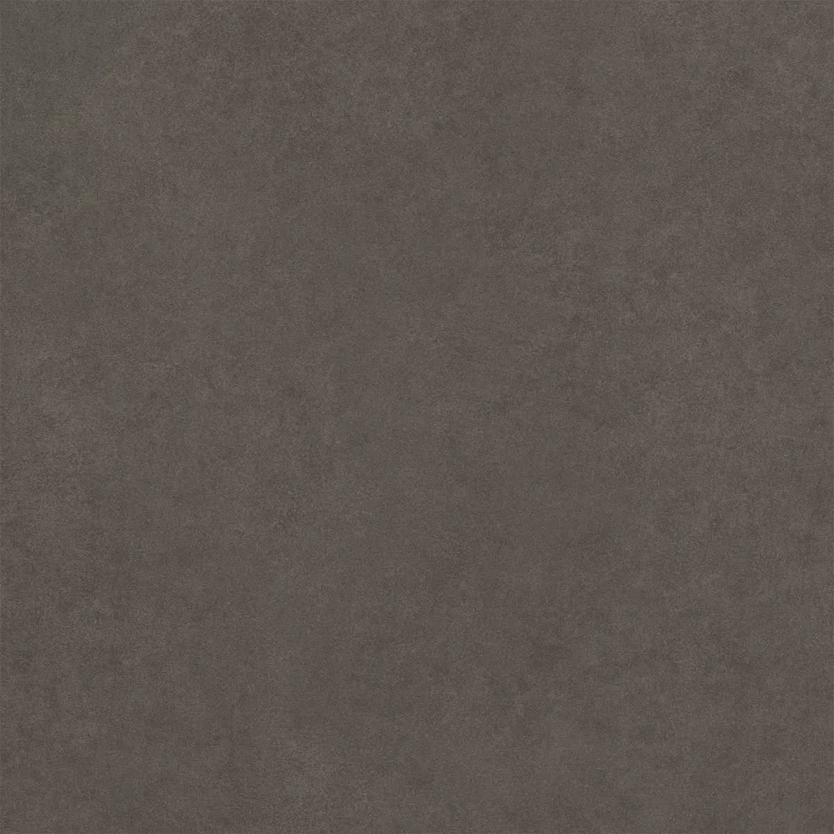 Kolossal Антрацит 60x60 cm