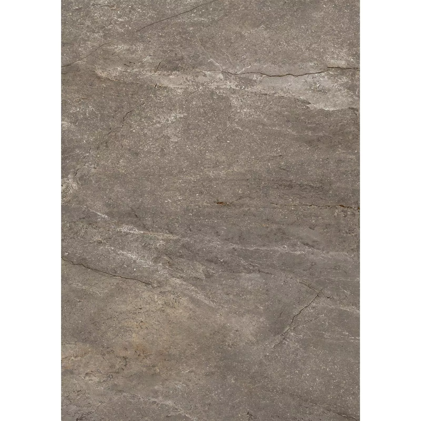 Подова Плочка Noiron Матирано Полиран Mocca 60x120cm