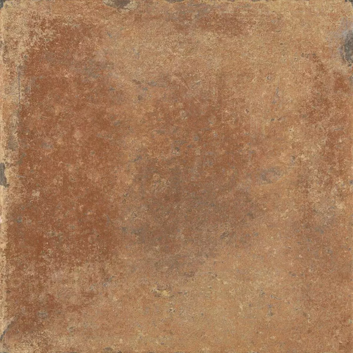 Queens Теракота Тъмно Kафяво 25x25 cm